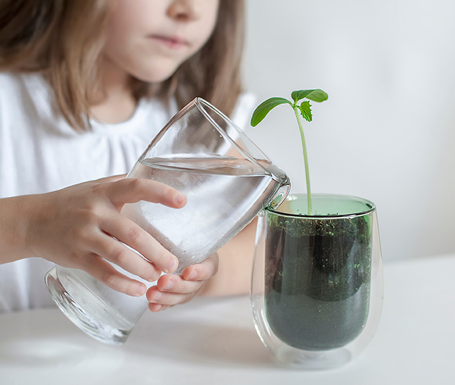 Forest Learning Science Tuition