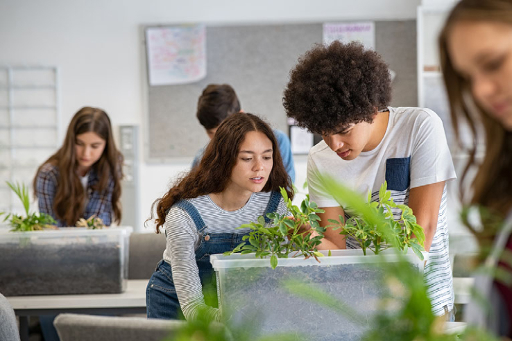 forest learning science and biology